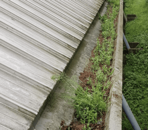 Happy customers in Caterham who trust The Roof Moss Cleaners for gutter cleaning services